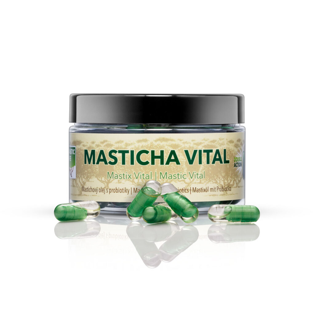 masticha vital